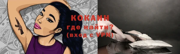 spice Новозыбков