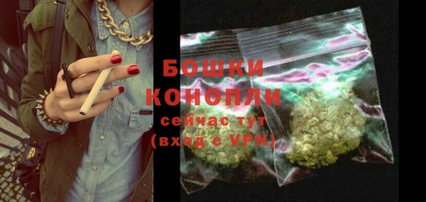 spice Новозыбков