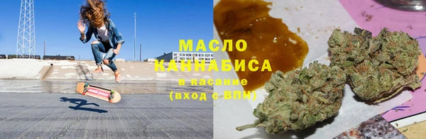 индика Нея